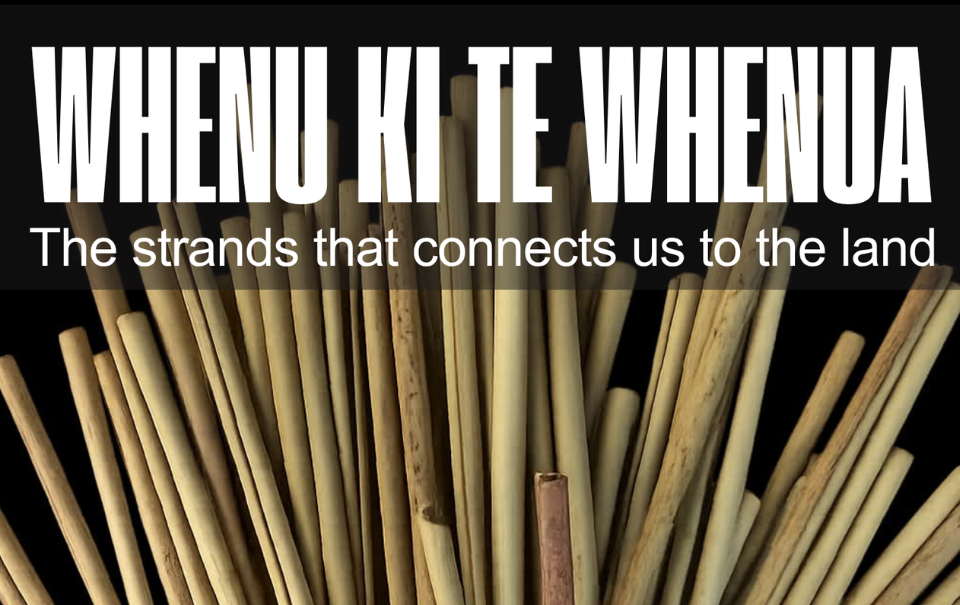 Whenu ki te whenua