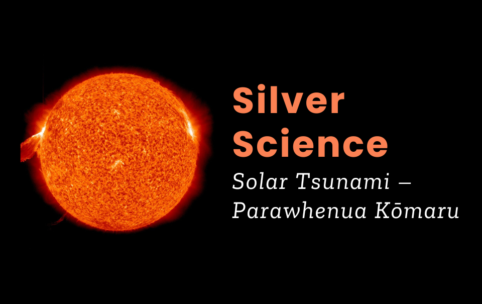 Silver Science Solar Tsunami Website